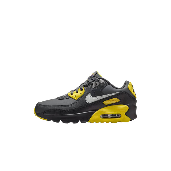 Nike Nike Air Max 90 Low top Running Shoes Lightning/Smoke Gray/Anthracite/Light Silver Unisex