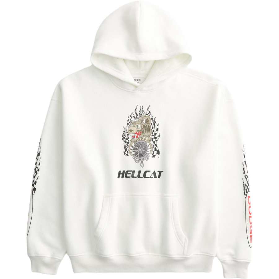 Hollister/ Sweatshirts Men's White Hooded Moderate