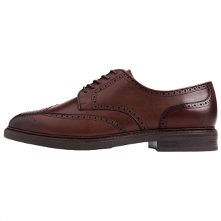 Polo Ralph Lauren Asher Casual Leather Shoes Men's Brown
