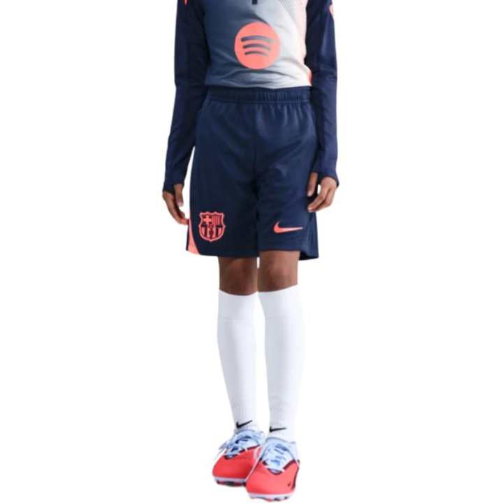 Nike Nike Kids Shorts Moderate