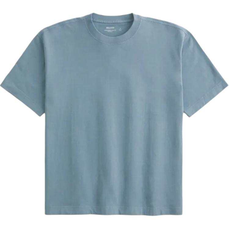 Hollister/ T Shirts Men's Blue Crew Neck Moderate Straight Fit