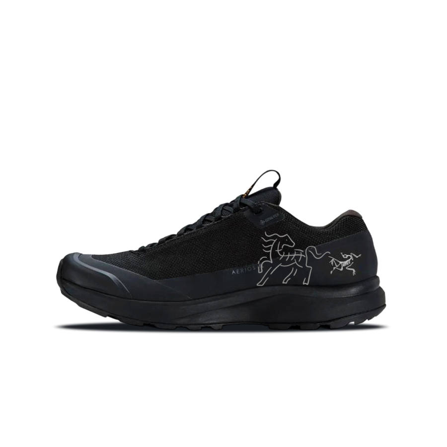 Arcteryx Arc'teryx AERIOS FL GTX Abrasion Resistant Low top Running Shoes Men's