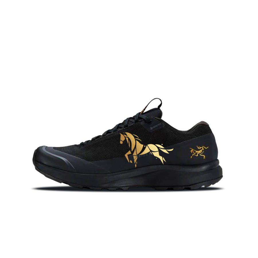 Arcteryx Arc'teryx Aerios Fl 2 BNK Golden Bamboo Horse Abrasion Resistant Abrasion Resistant Low top Outdoor Shoes Men's