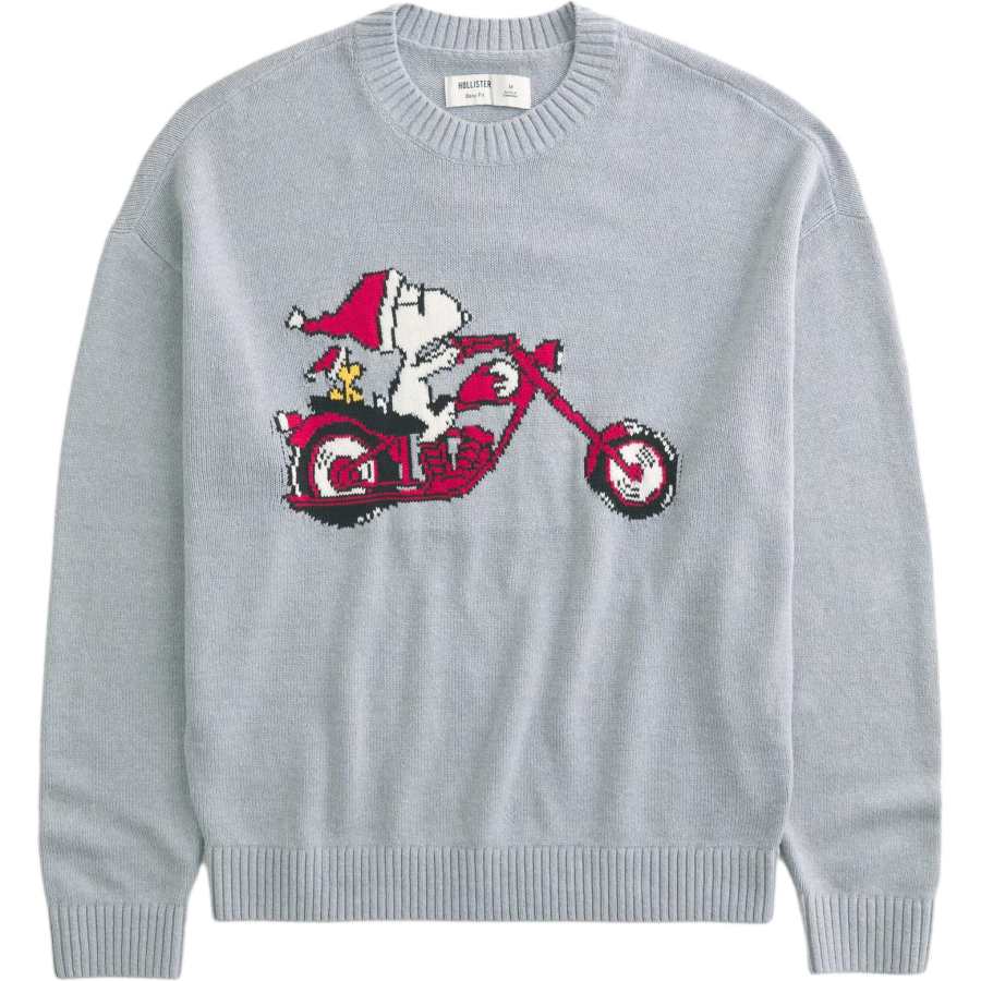 Hollister/ Sweaters Women's Gray Crew Neck Moderate Other