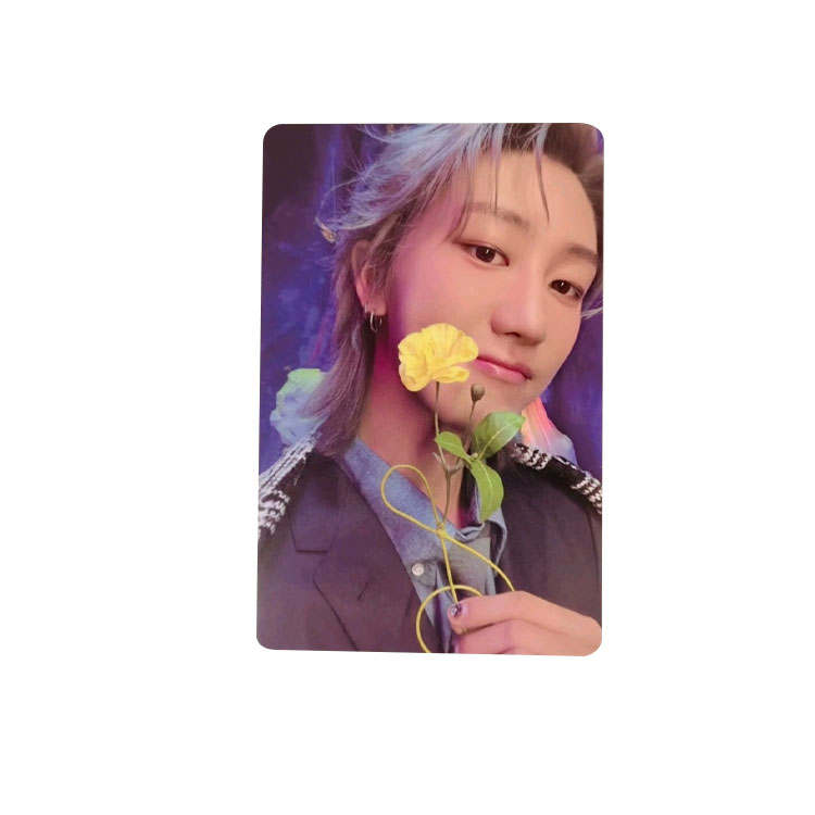 HYBE HYBE SEVENTEEN HERE.ver Card Holder Photocards 1 Pc