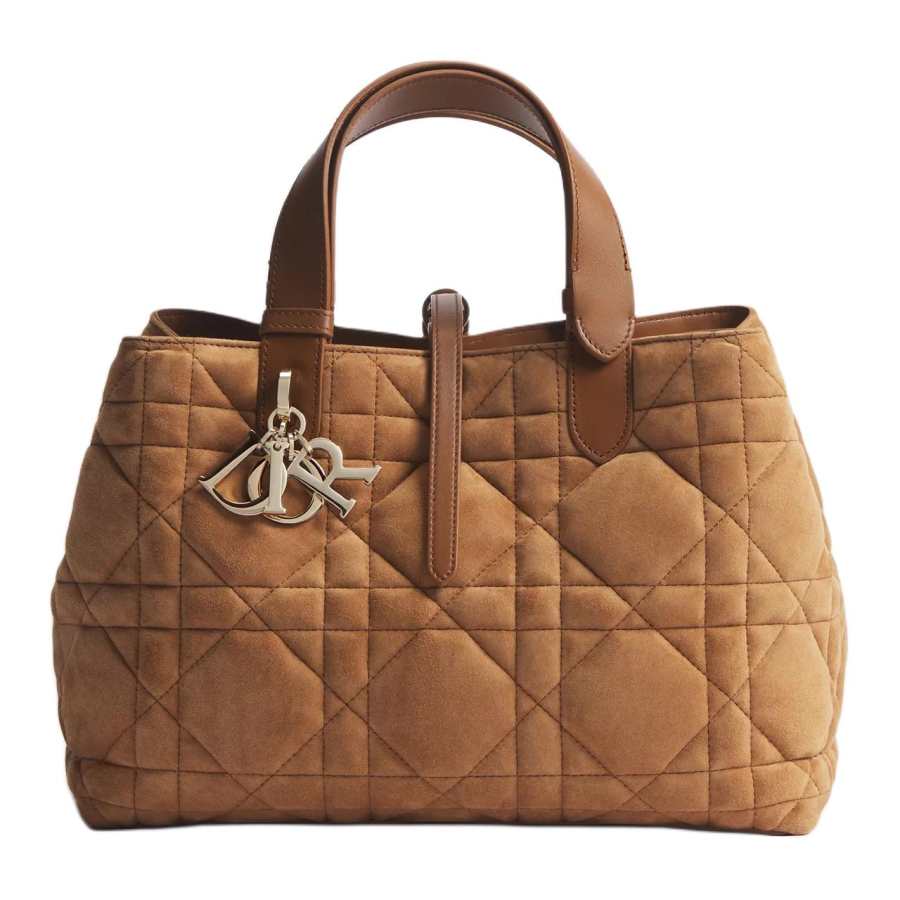DIOR Toujours Suede Goatskin With Calfskin Handbag Medium Women's Saddles Gold