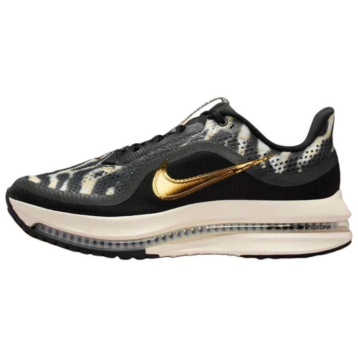 Nike Nike Pegasus Premium Running Shoes Women's Black
