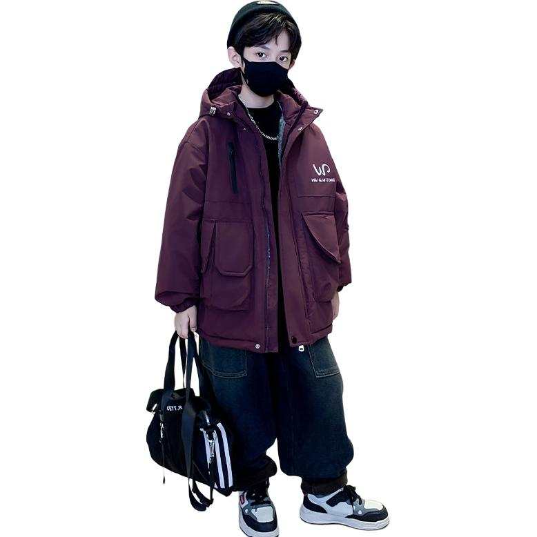 Lanza Casual Padded Jacket Winter Thickened And Fleece Lined Cool And Stylish Letter Puffer Jacket Teenagers