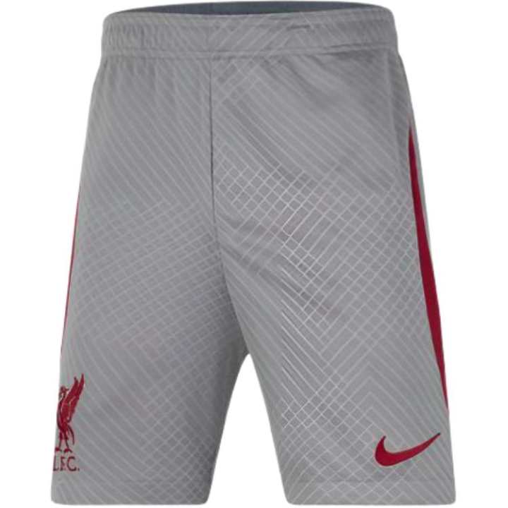 Nike Nike Liverpool F.C. Strike Kids Shorts Kids' Gray