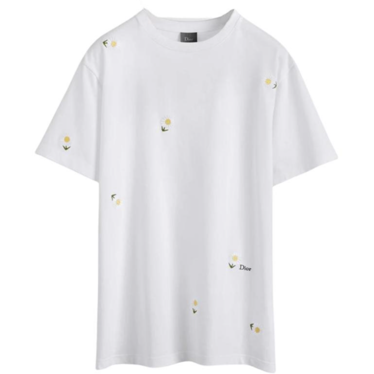 DIOR T Shirts Men's White Crew Neck Moderate Straight Fit