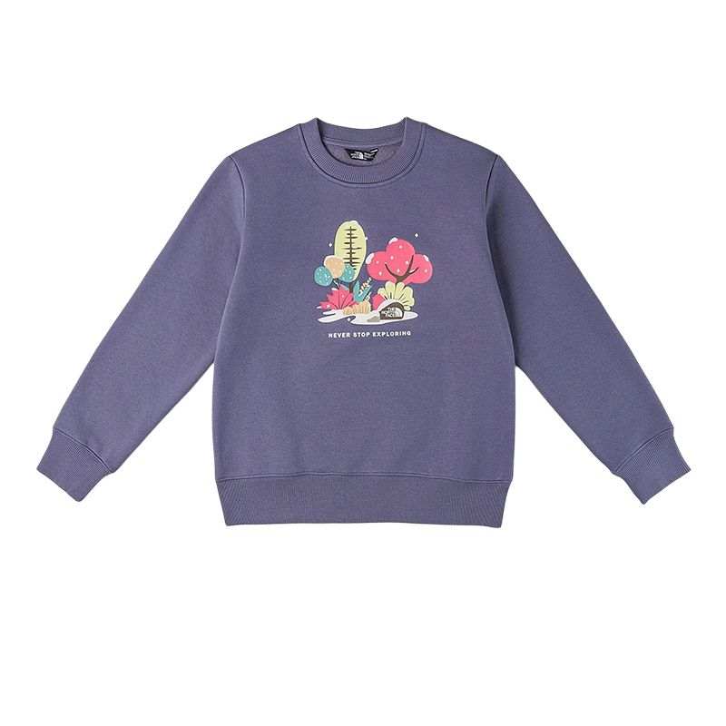 THE NORTH FACE Sweatshirt FW25 Kids'