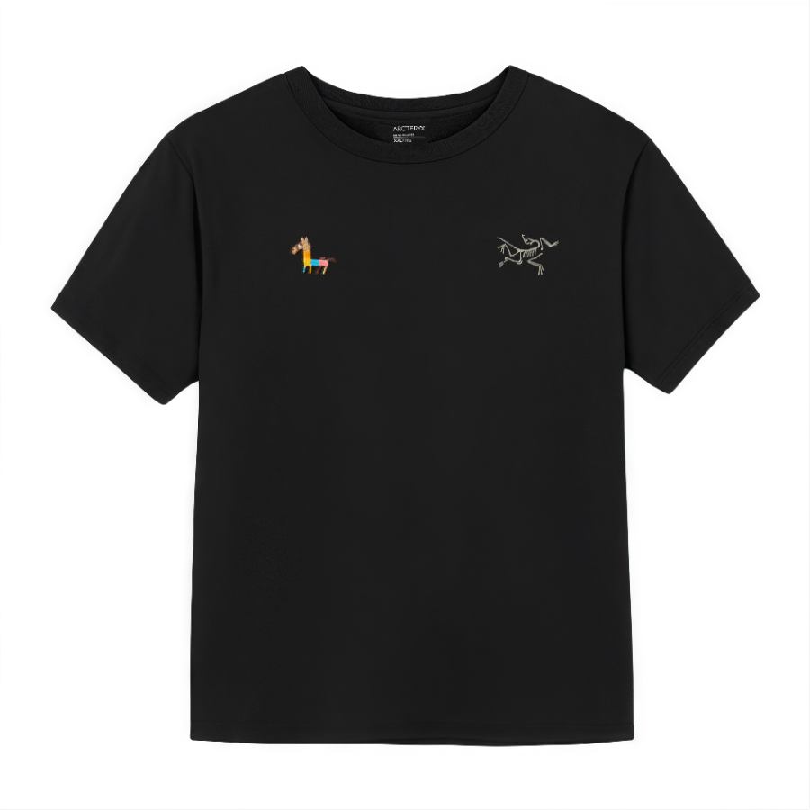 Arcteryx T Shirts Unisex Black/Black Crew Neck Moderate Straight Fit