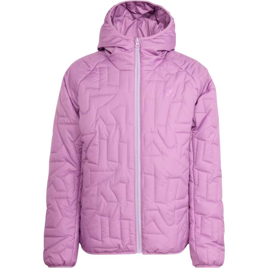 Adidas Adidas Padded Jacket TERREX Xperior CLIMAWARM Kids'