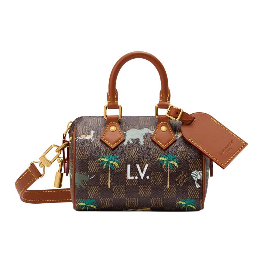 LOUIS VUITTON The Darjeling Limited Collaboration Speedy Damier Heritage Coated Canvas