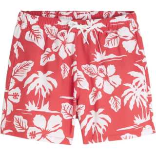 Hollister/ Hollister Swimming Shorts Men's