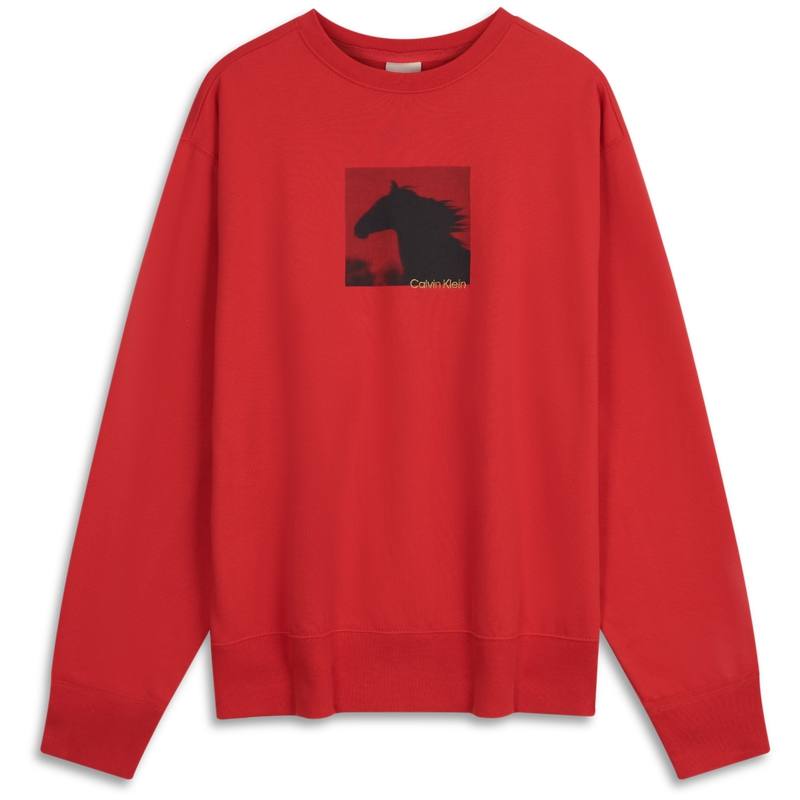 CALVIN KLEIN Sweatshirt Unisex Gift Box Set Included
