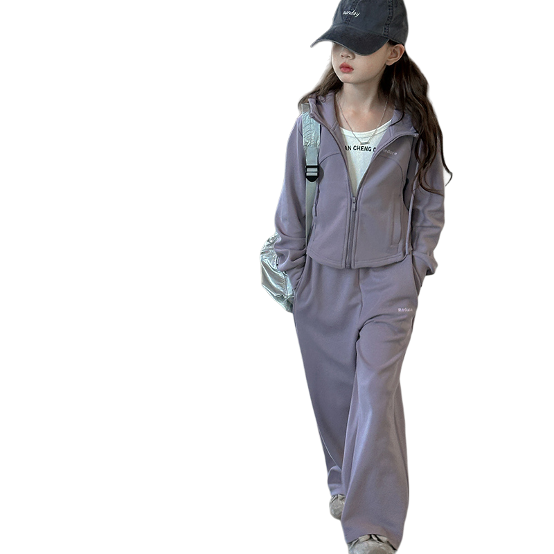 Lanza Casual Sportswear Spring Fall Purple Teenagers