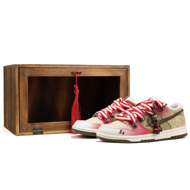 Nike Nike Dunk Pegasus Pack Low top Skateboard Shoes Men's Red Brown