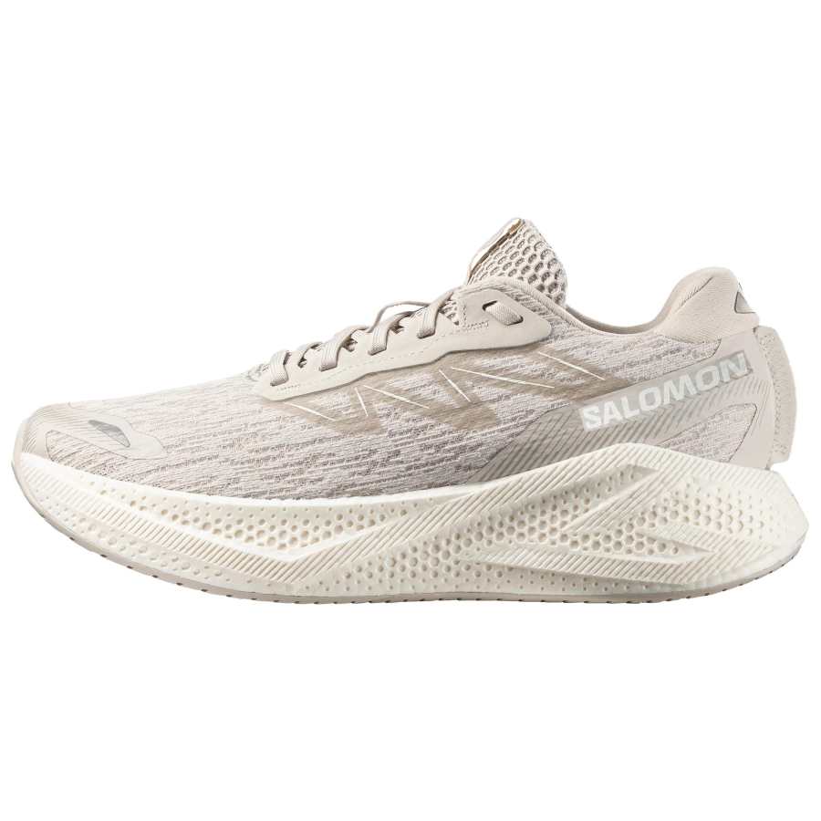 SALOMON AERO GLIDE 4 Running Shoes Unisex Ecru