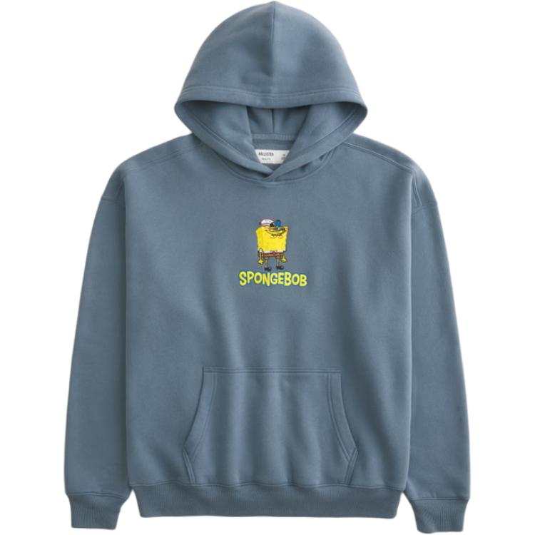 Hollister/ Sweatshirts Men's Blue Hooded Moderate