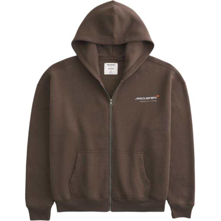Hollister/ Sweatshirts Men's Brown Hooded Moderate