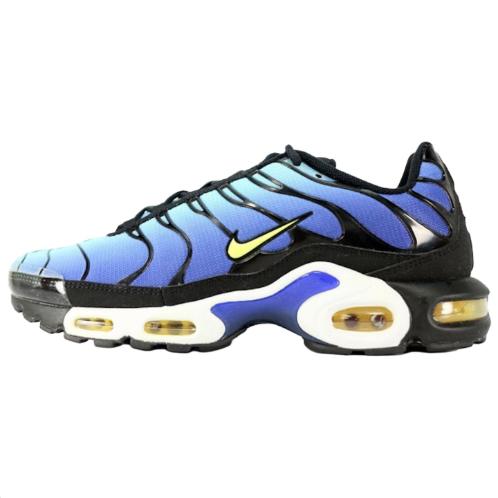 Nike Nike Air Max Plus Running Shoes Unisex Blue
