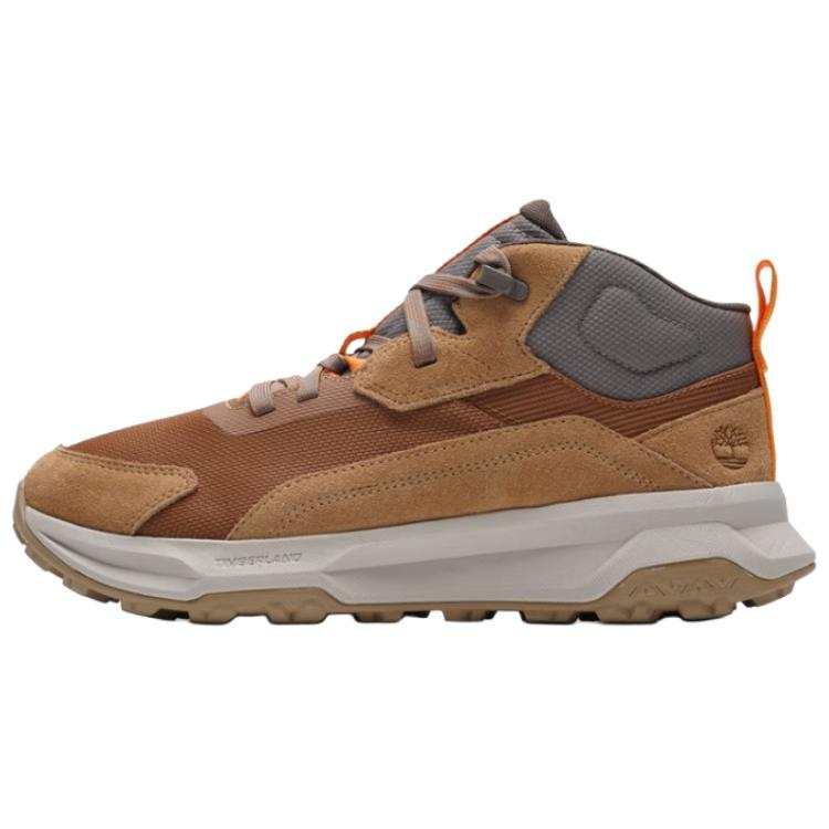 Timberland MOTION LEDGE Outdoor Shoes Men's Brown