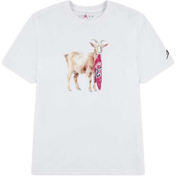 Jordan Jordan Kids T Shirts