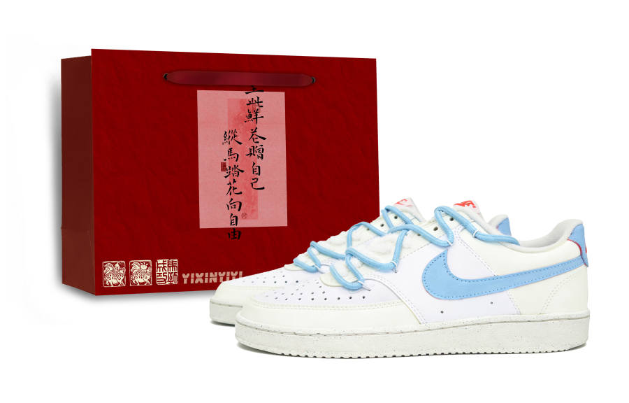 Nike Nike Court Vision LO NN Abrasion Resistant Slip Resistant Low top Skateboard Shoes Women's Blue
