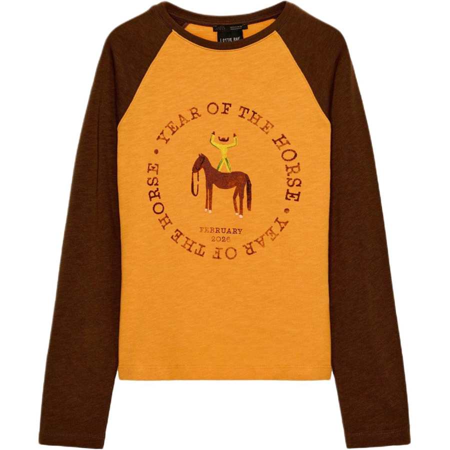 ZARA New Year SS26 T Shirt Women's