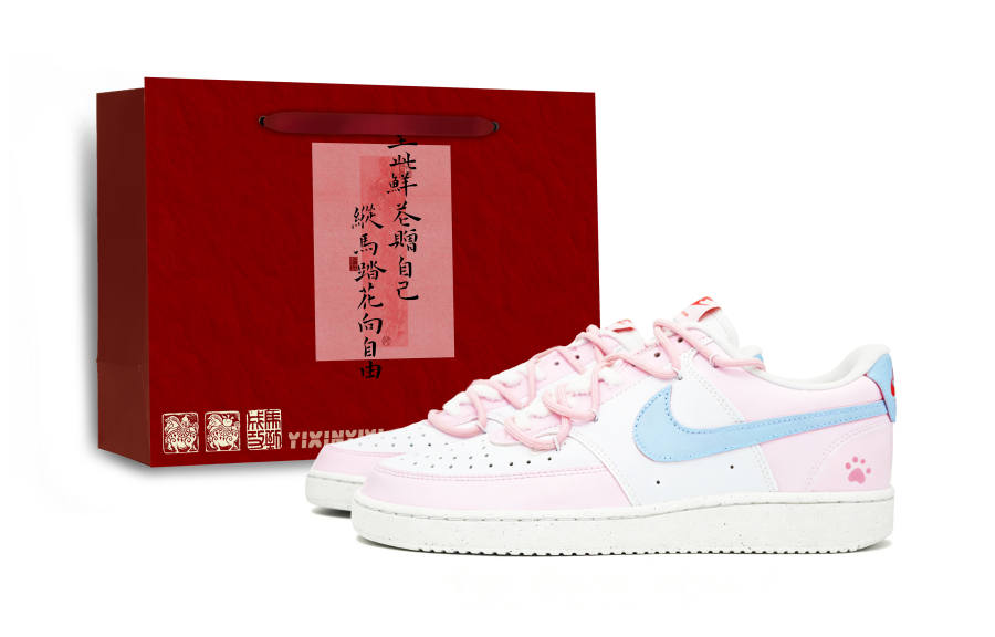 Nike Nike Court Vision LO NN Abrasion Resistant Low top Skateboard Shoes Women's Pink