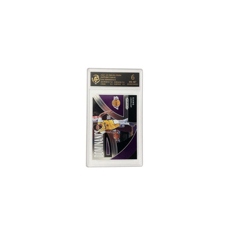 PANINI PANINI Prizm Anthony Davis, The Brow PZ Wide Screen Special Card Graded Cards 1 Pc