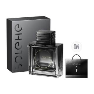 SOLEHE Men's Perfumes Men's
