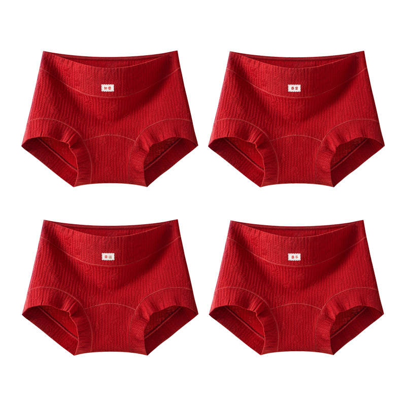 Ordifen Women's Boxer Briefs