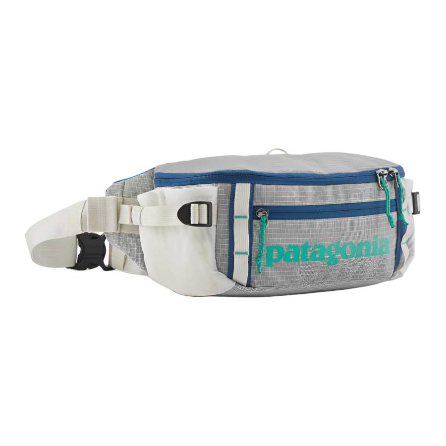 Patagonia Polyester Fanny Pack Unisex Snow Birch