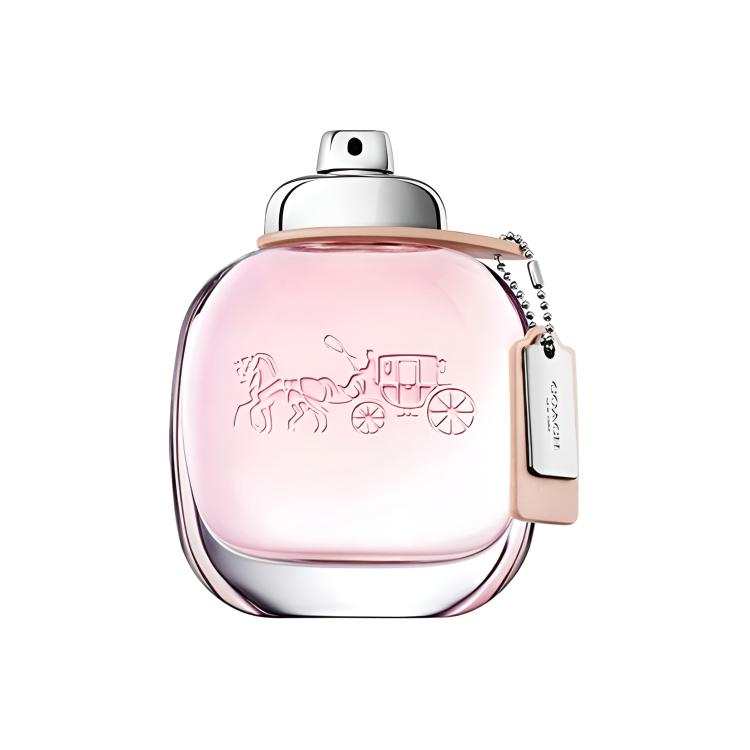 COACH New York Women's Perfume/Misty Rose/Same Name Perfumes Green Floral Eau De Toilette Pear Jasmine Musk