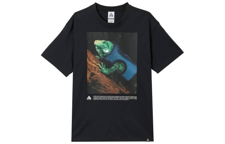 Nike Nike Acg Iguana T-shirt