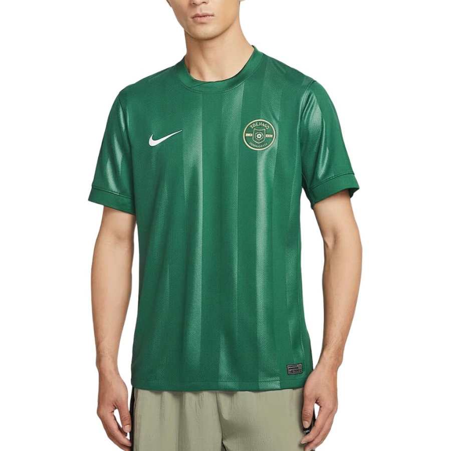 Nike Nike Zhejiang Team Soccer Jersey Fan Edition Men's