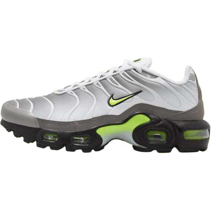 Nike Nike Air Max Plus Low top Kids' Running Shoes Gray Kids'