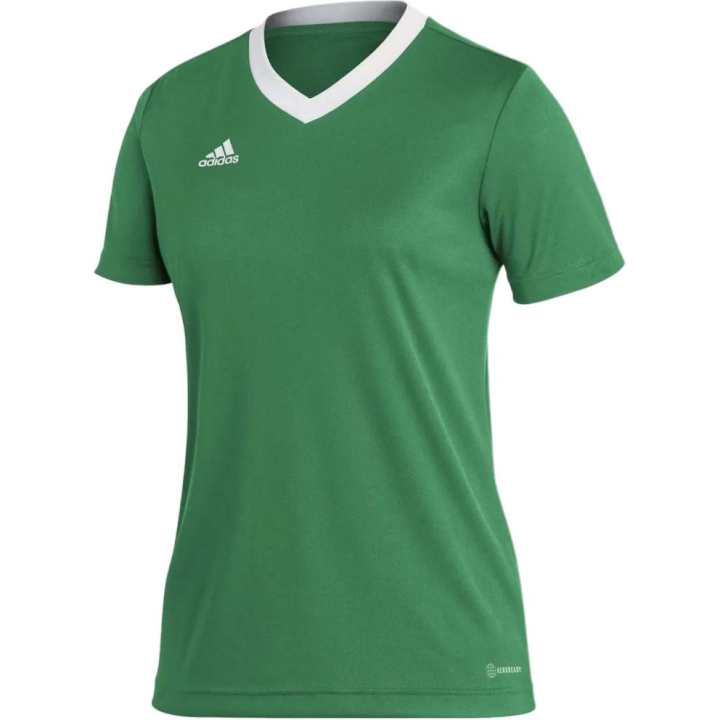 Adidas Adidas Entrada 22 T Shirt Women's