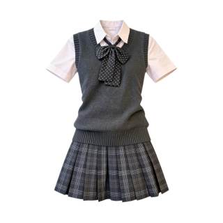 Dear Zhazha Two Piece Skirt Sets Women's Polo Collar Thin Short
