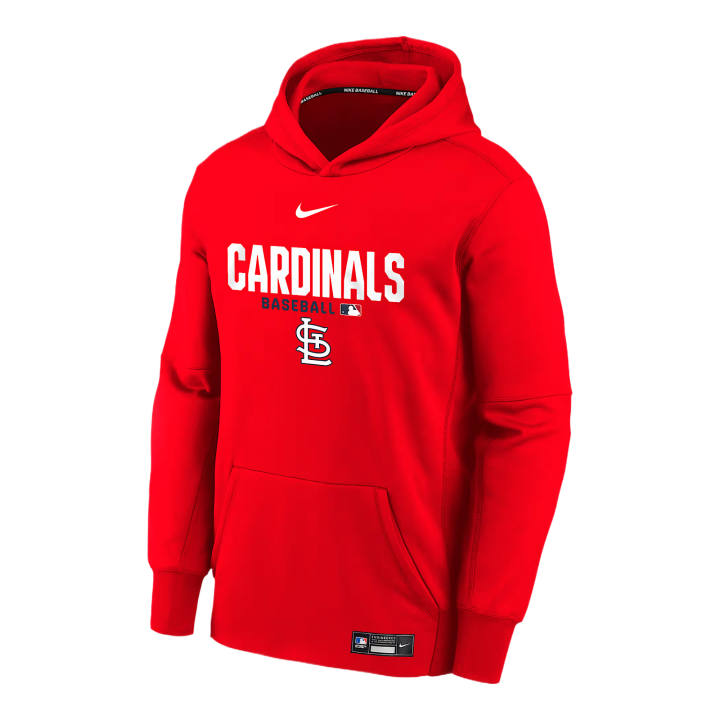 Nike Nike Sweatshirt Therma FIT Kids'