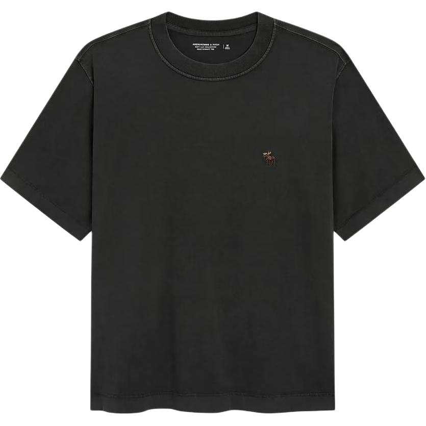 Abercrombie&Fitch T Shirt Men's