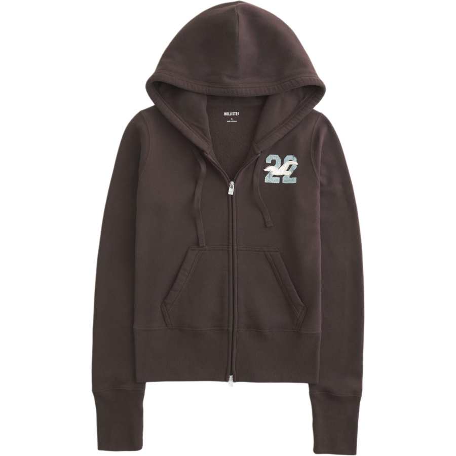 Hollister/ Sweatshirts Women's Brown Hooded Moderate