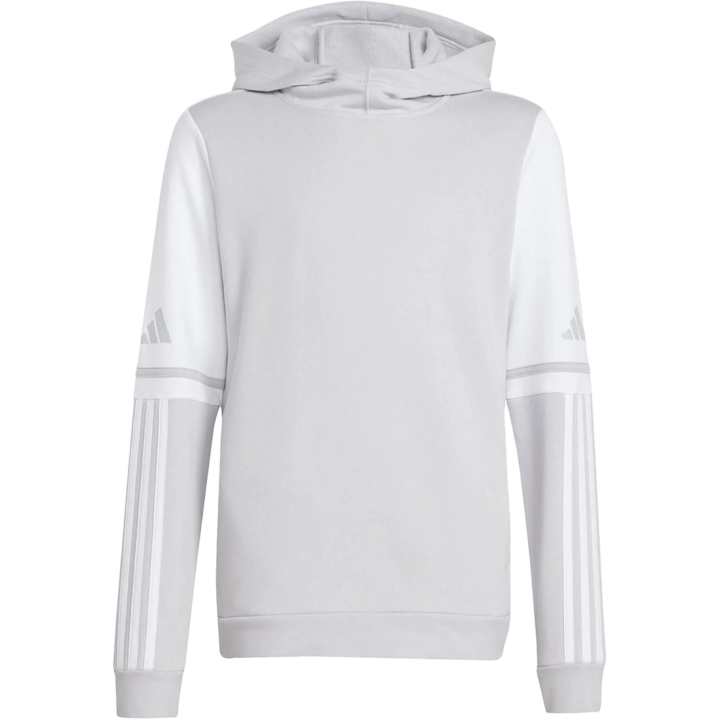 Adidas Adidas Kids Sweatshirts Moderate