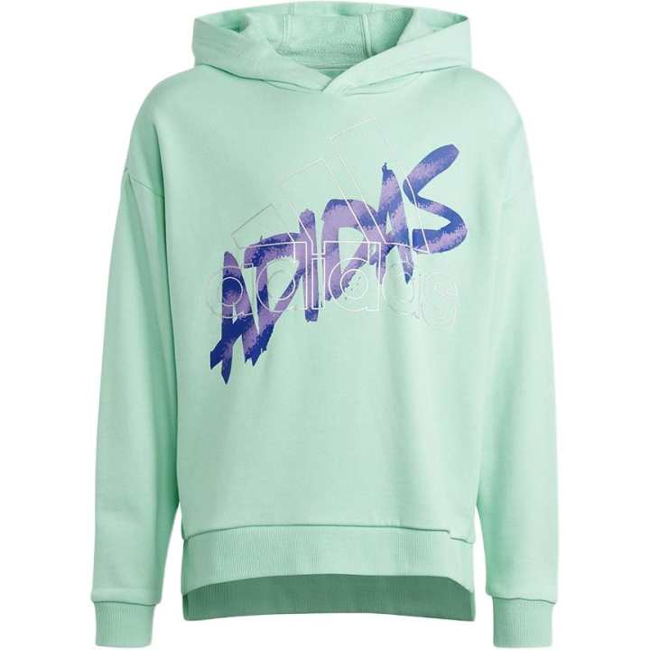 Adidas Adidas Grade School Sweatshirts Moderate