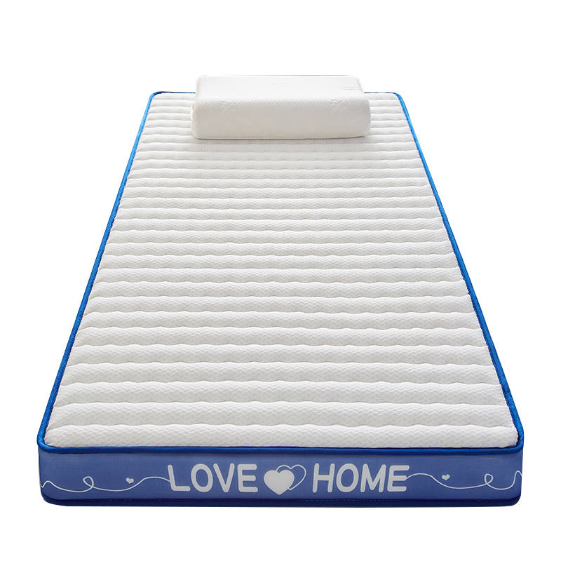 Lanza All Season Knit Cotton Latex Memory Foam Mattress LOVE Collection Students Back To School Dormitory