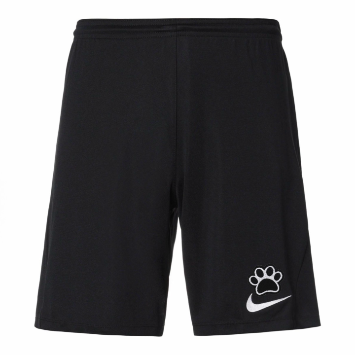 Nike Nike Dri Fit Casual Shorts Men's