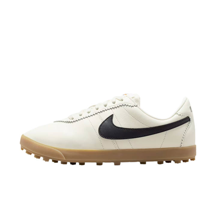Nike Nike ASTRO GRABBER Leather Low top Skateboard Shoes Women's