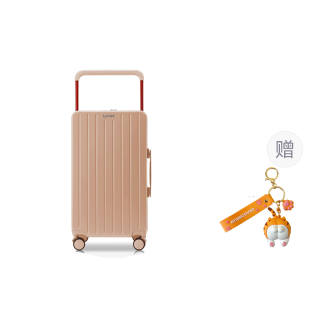 SANZHIXIAOYA ABS+PC Password Box Suitcase Grade School Pink/Black/Matcha Green/Mint Green/White/Silver Grey
